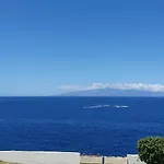 Tenerife Lizards - In The First Line *