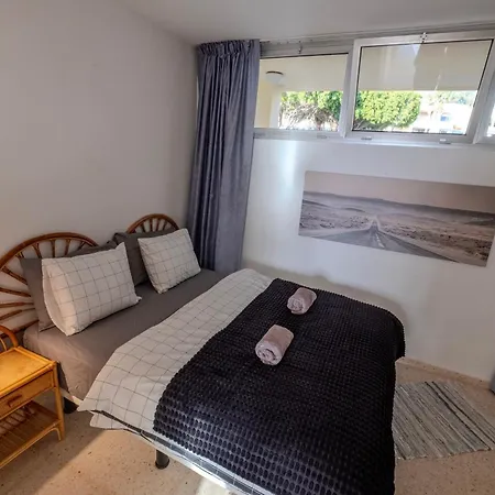 Tenerife Lizards - In The First Line Appartement *