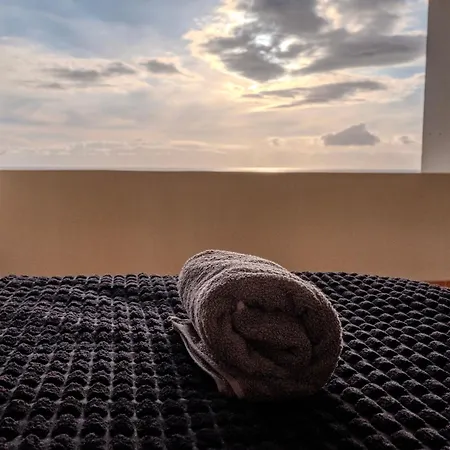 Tenerife Lizards - In The First Line *