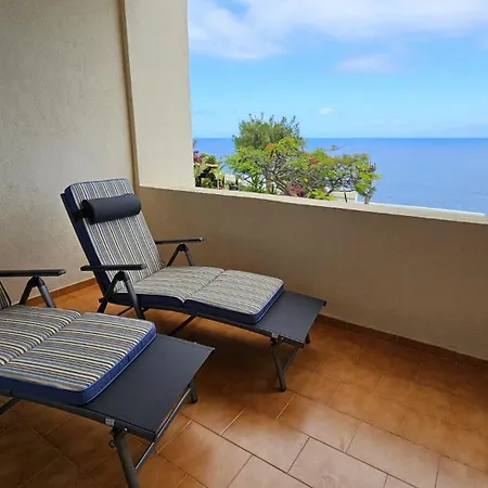 Tenerife Lizards - In The First Line Appartement