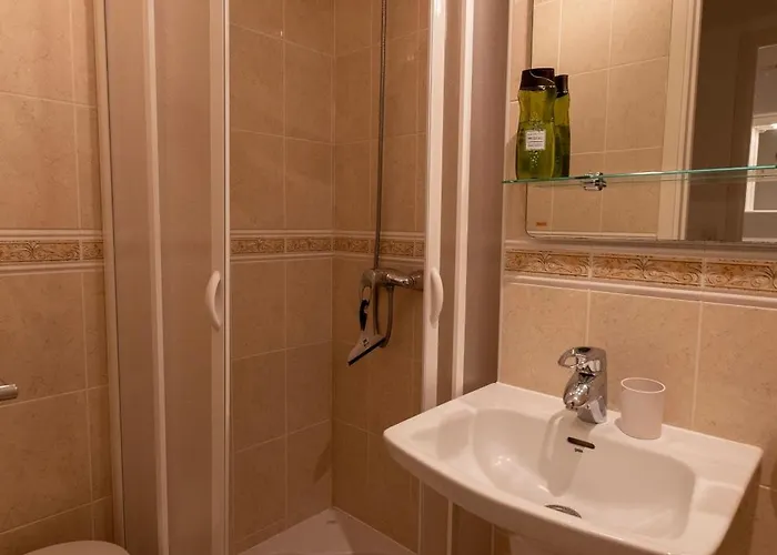 Tenerife Lizards - In The First Line