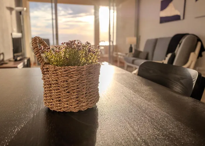 Tenerife Lizards - In The First Line Callao Salvaje