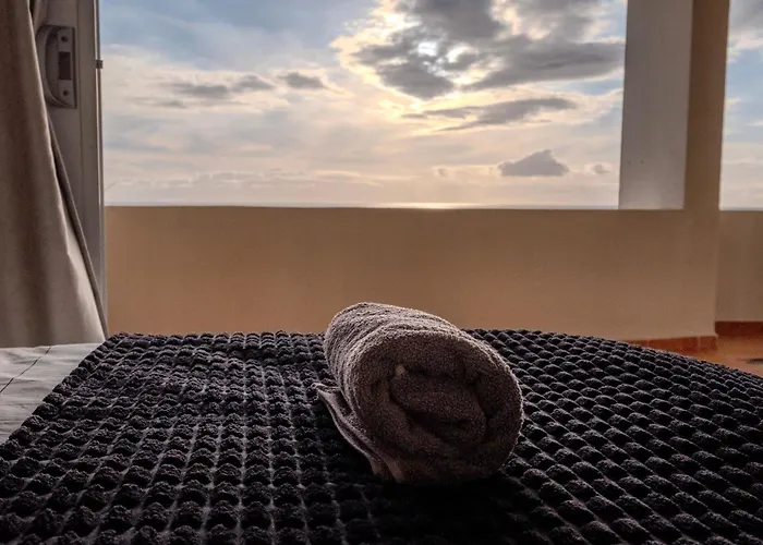 Tenerife Lizards - In The First Line *