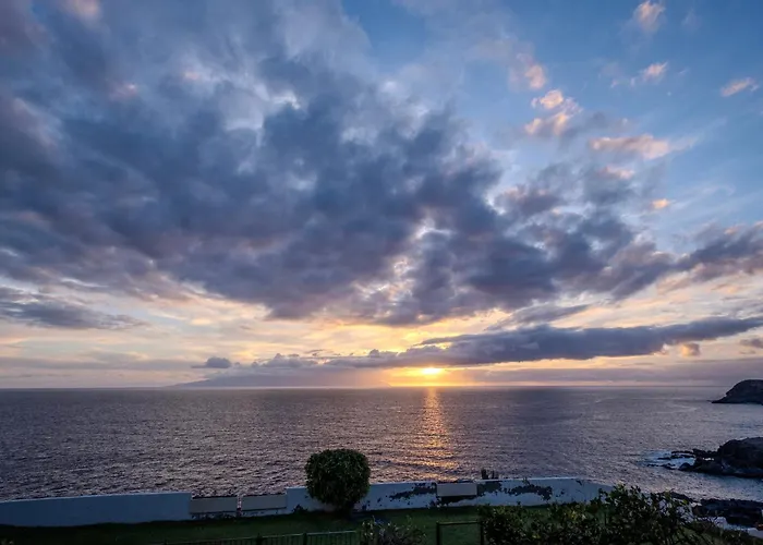 Tenerife Lizards - In The First Line *