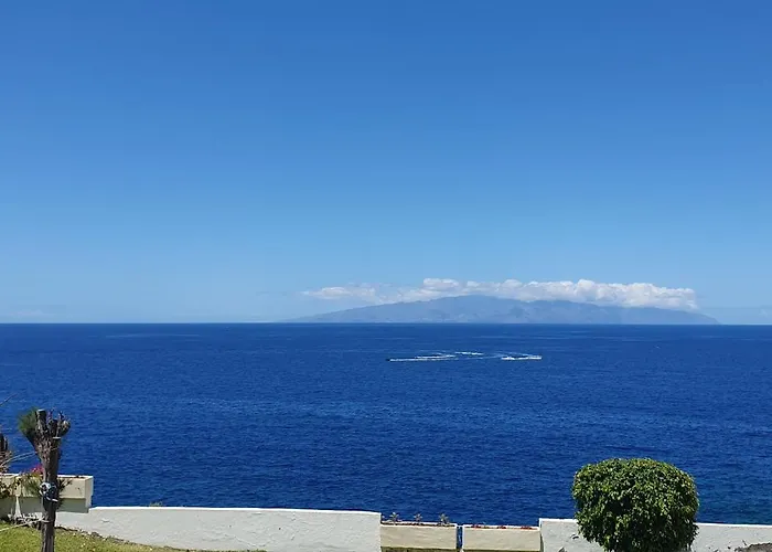 Tenerife Lizards - In The First Line *