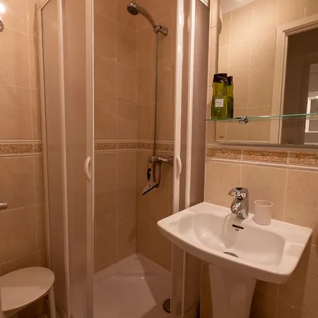 Tenerife Lizards - In The First Line