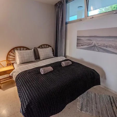 Tenerife Lizards - In The First Line *