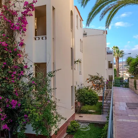 Tenerife Lizards - In The First Line *