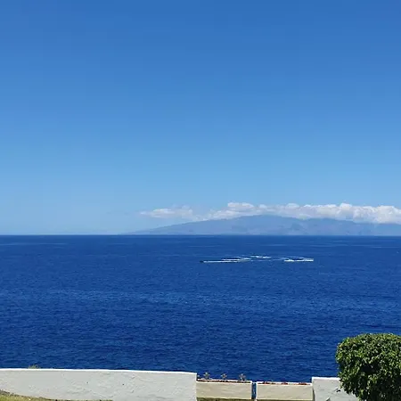 Tenerife Lizards - In The First Line *