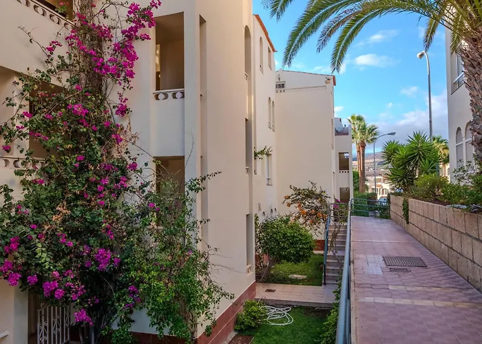 Tenerife Lizards - In The First Line *