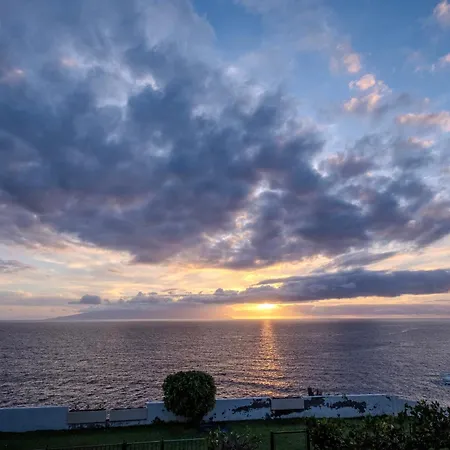 Tenerife Lizards - In The First Line *