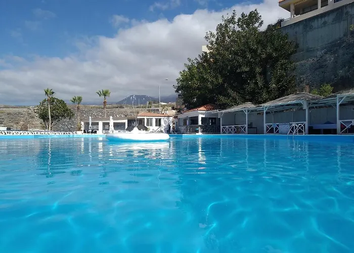 Tenerife Lizards - In The First Line * Callao Salvaje